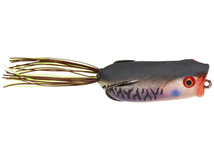 Toad Thumper Poppin' Frog